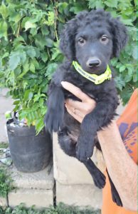 0638-Milo-7