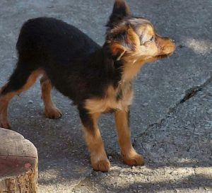 0639-Letti-11