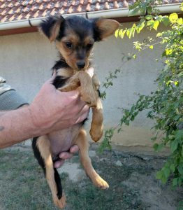 0639-Letti-14
