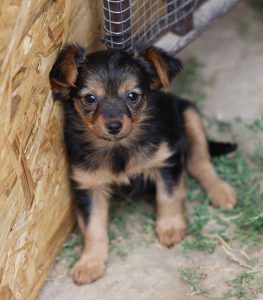 0639-Letti-2
