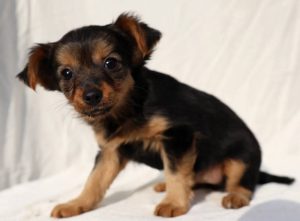 0639-Letti-3