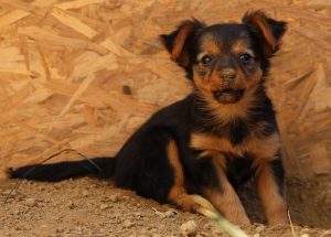 0639-Letti-4