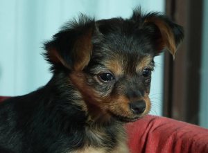 0639-Letti-6