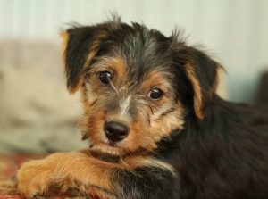 0639-Lotti-2