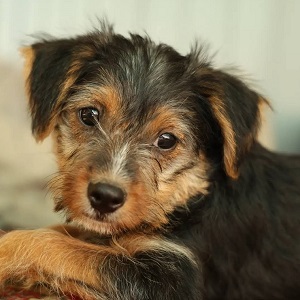0639-Lotti-2A