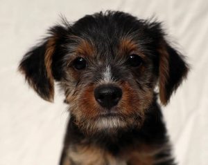 0639-Lotti-6