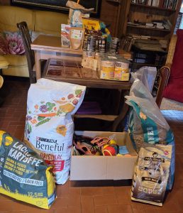 2025 10-Danke-Ungarntour-Oktober-3