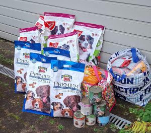 2025 10-Danke-Ungarntour-Oktober-7