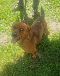 K083-Rupert-2